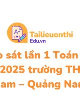 Đề khảo sát lần 1 Toán 12 năm 2024  2025 trường THPT Sào Nam  Quảng Nam